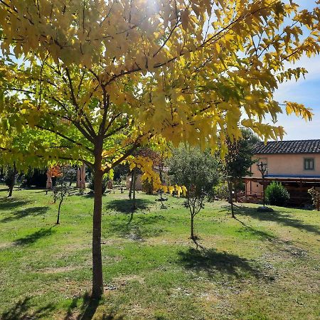 Sassomatto B&B Bioagriturelax Campogialli ภายนอก รูปภาพ
