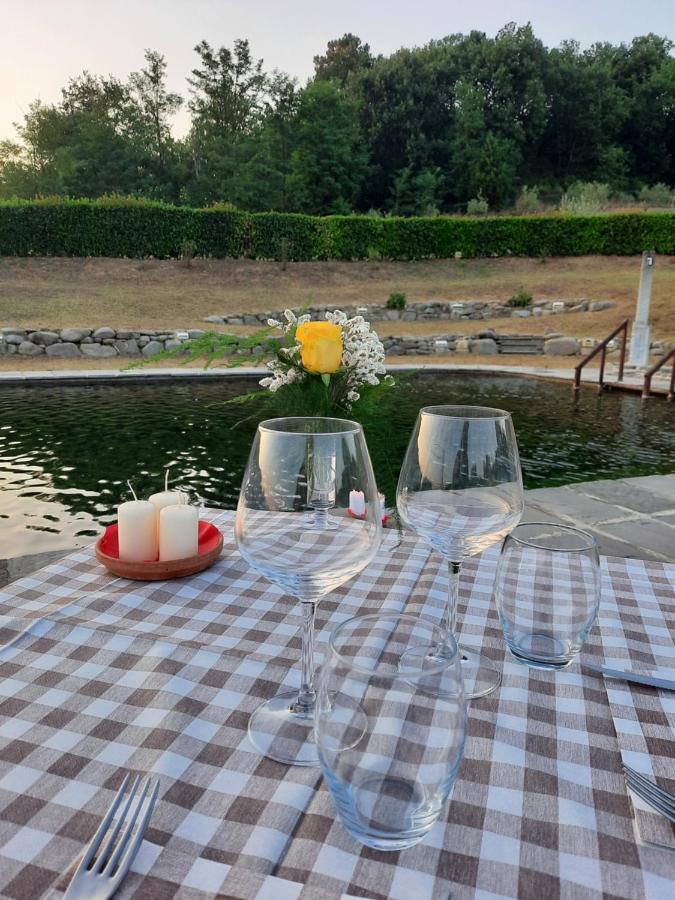 Sassomatto B&B Bioagriturelax Campogialli ภายนอก รูปภาพ