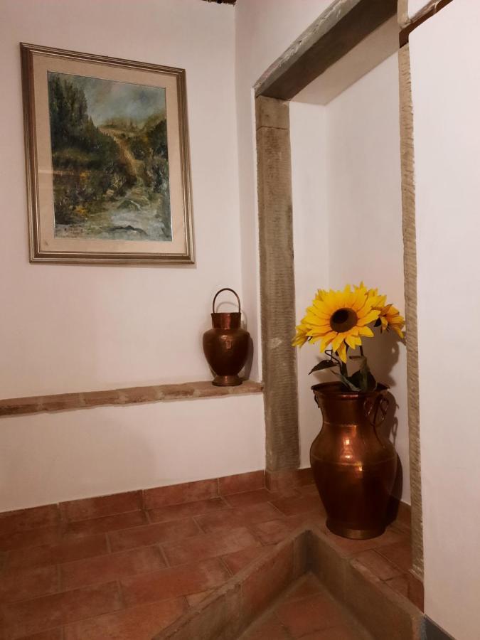Sassomatto B&B Bioagriturelax Campogialli ภายนอก รูปภาพ
