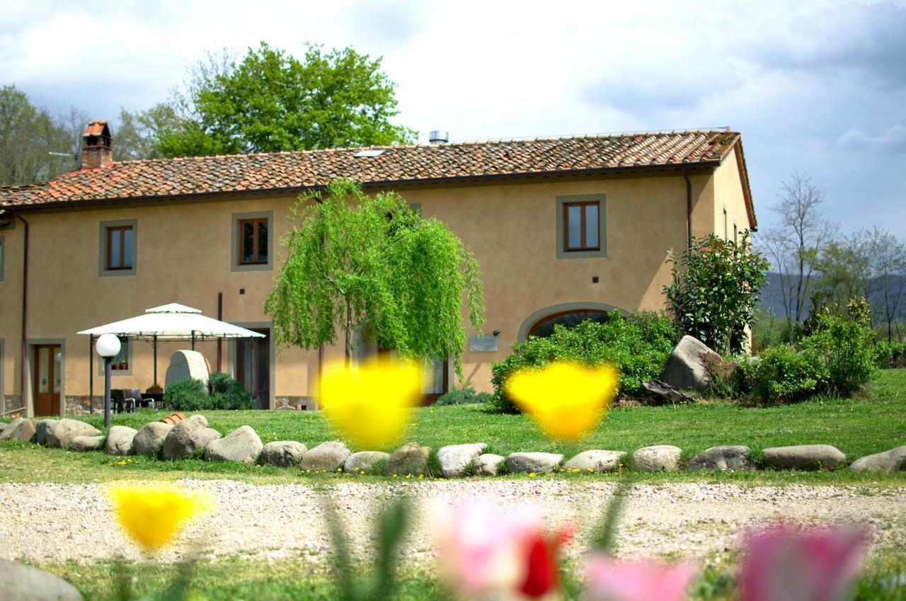 Sassomatto B&B Bioagriturelax Campogialli ภายนอก รูปภาพ